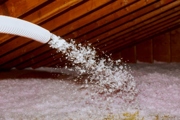 Best Geographic-Specific Insulation Services in Victoria, TX